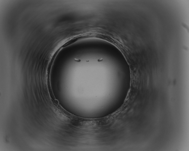 X0000093770100200710161250