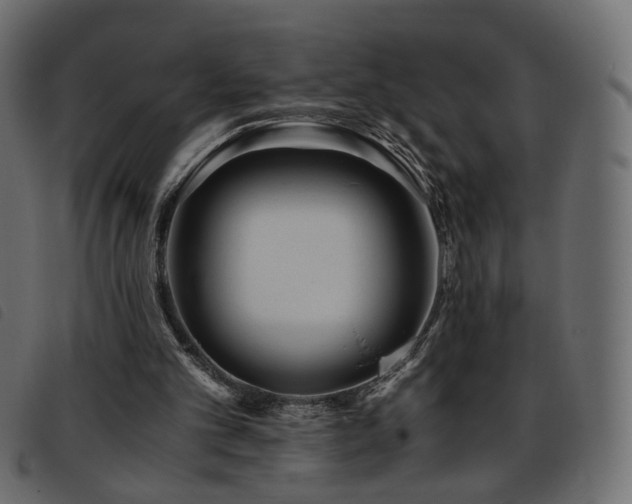 X0000093770101200710161250