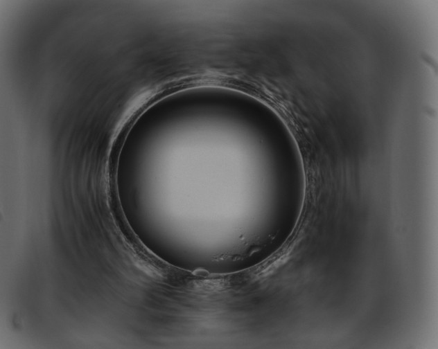 X0000093770102200710161250