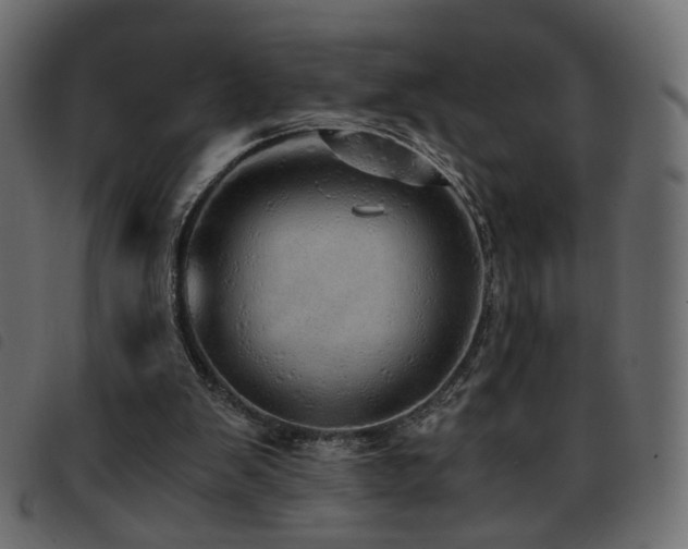 X0000093770103200710161250