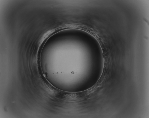 X0000093770104200710161250