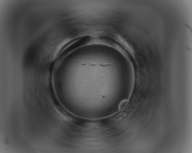 X0000093770107200710161249