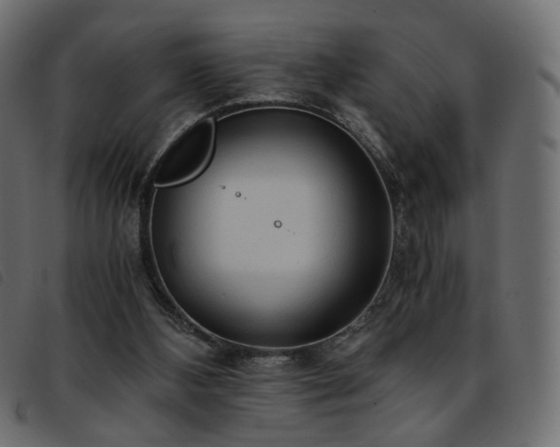 X0000093770108200710161249