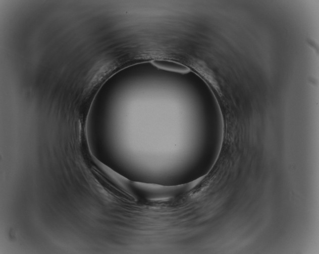 X0000093770109200710161249