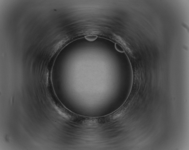 X0000093770110200710161249