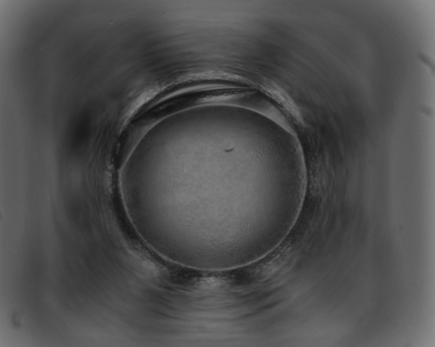 X0000093770111200710161249