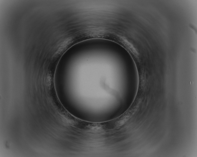 X0000093770113200710161249