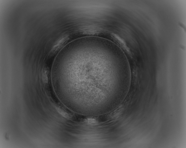 X0000093770114200710161249