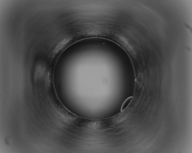 X0000093770116200710161249