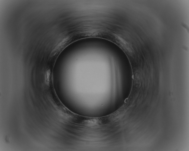 X0000093770118200710161249