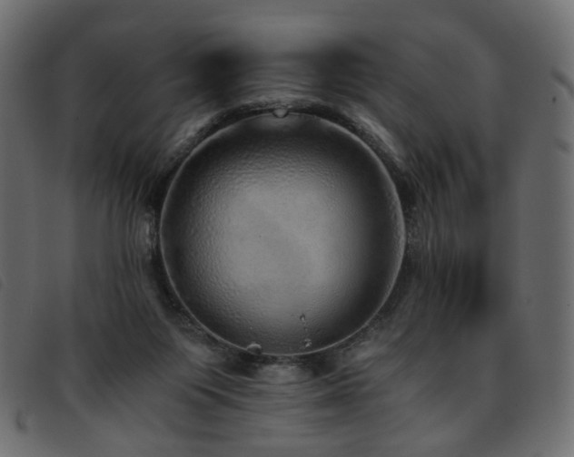 X0000093770119200710161249