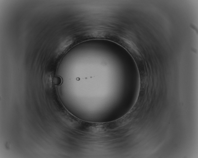 X0000093770120200710161249