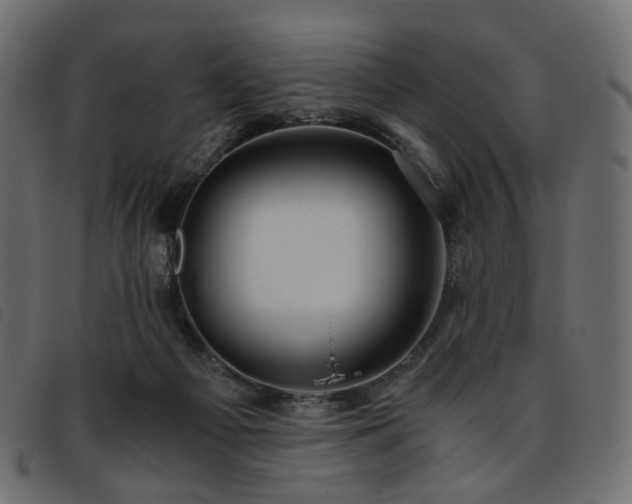 X0000093770121200710161249