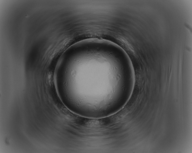 X0000093770123200710161249