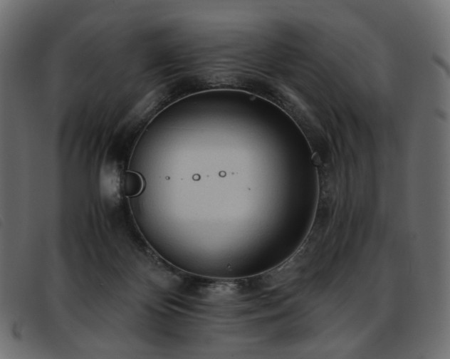 X0000093770124200710161249