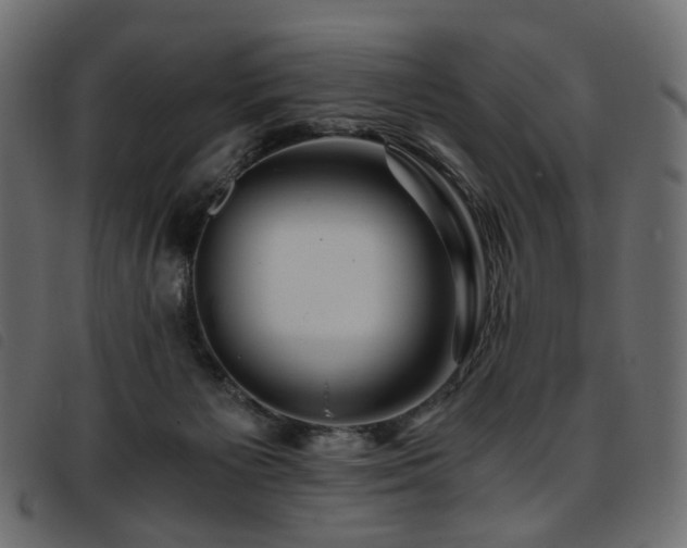 X0000093770125200710161249