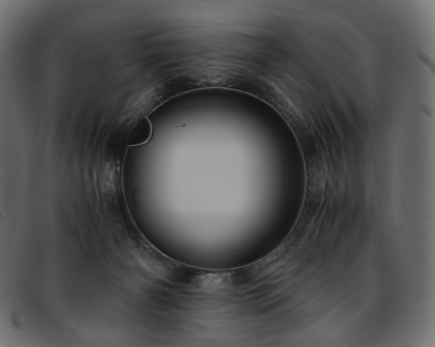 X0000093770126200710161249