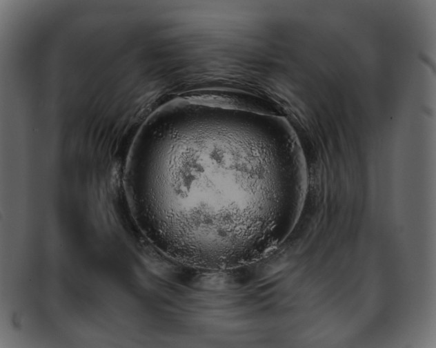 X0000093770127200710161249