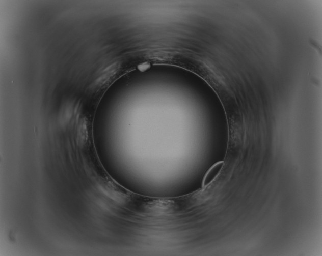 X0000093770128200710161249