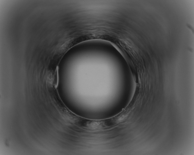 X0000093770129200710161249