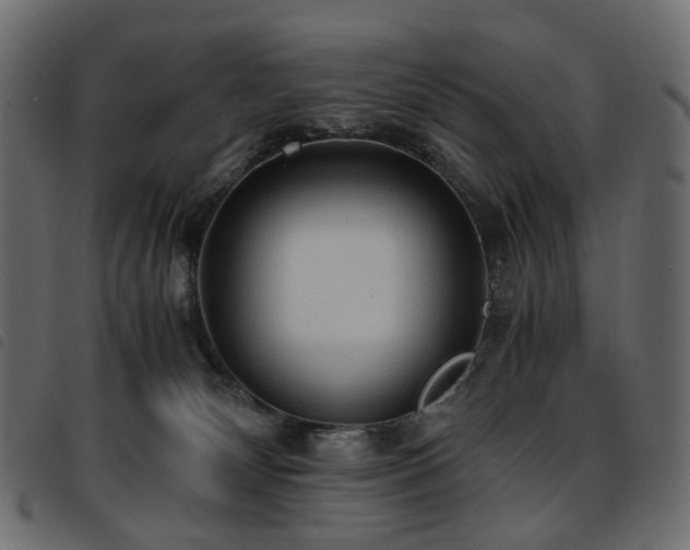 X0000093770132200710161249