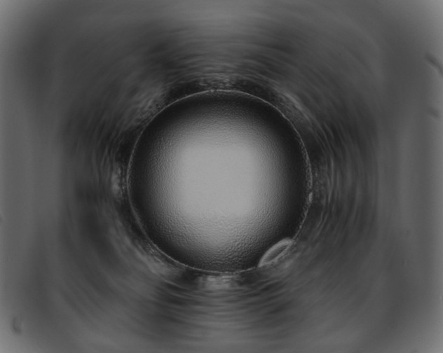 X0000093770134200710161249