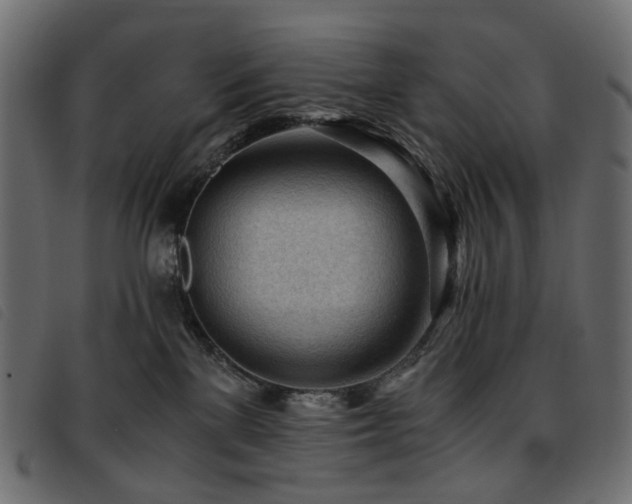 X0000093770137200710161249