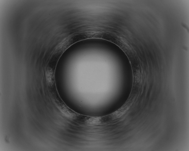 X0000093770138200710161249