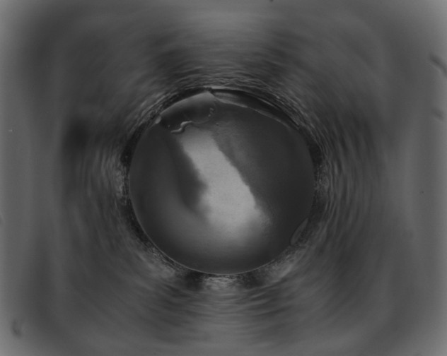 X0000093770139200710161249