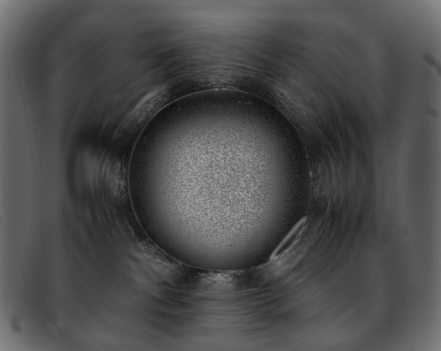 X0000093770140200710161249