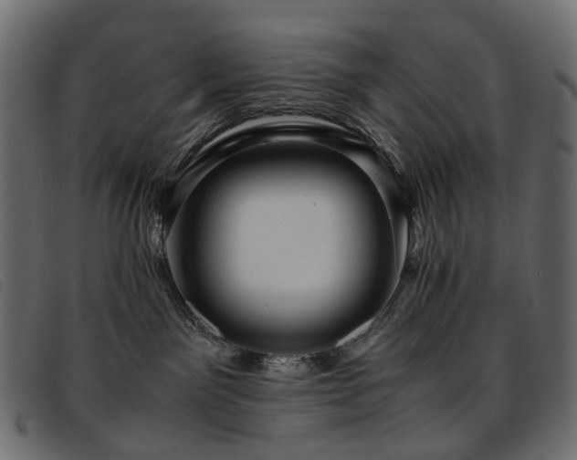 X0000093770141200710161249