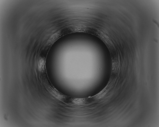 X0000093770142200710161249