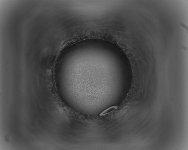 X0000093770144200710161249