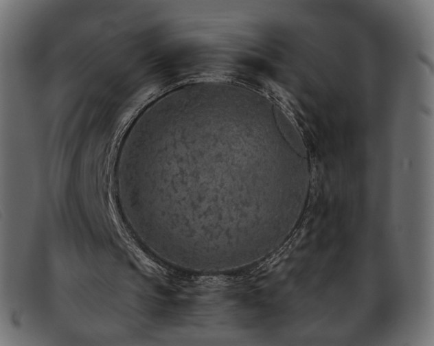 X0000093770145200710161248