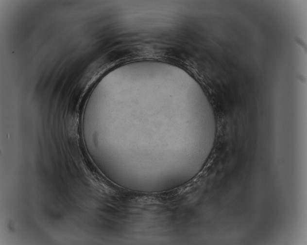 X0000093770146200710161248