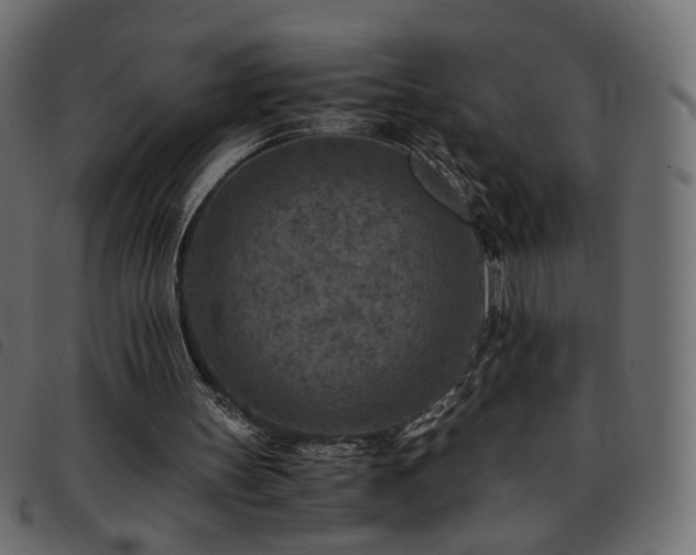 X0000093770147200710161248