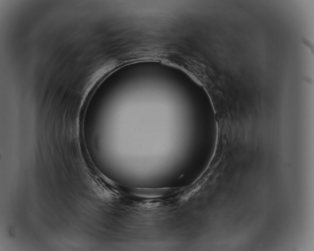 X0000093770148200710161248