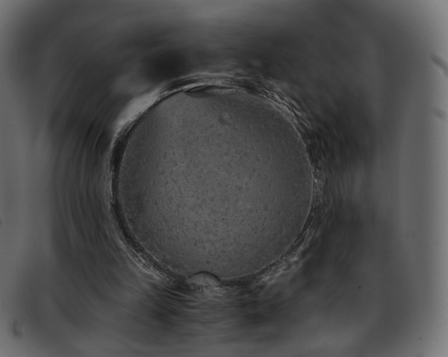 X0000093770149200710161249