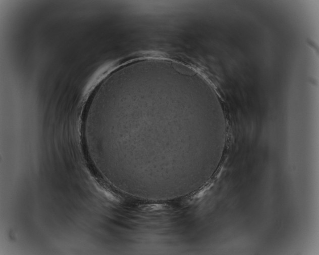 X0000093770151200710161249