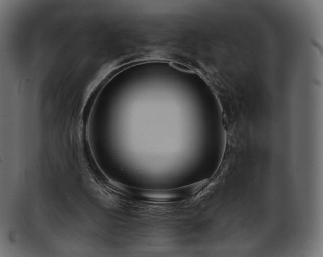 X0000093770152200710161249