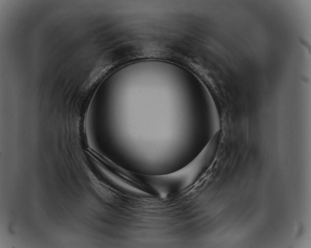 X0000093770154200710161249