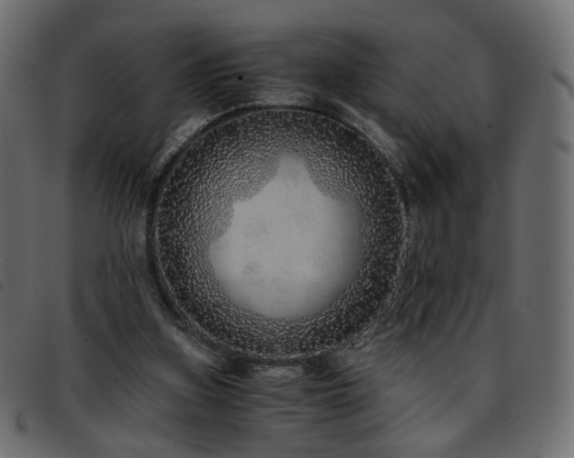 X0000093770155200710161249