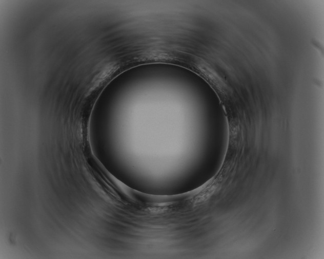 X0000093770158200710161249