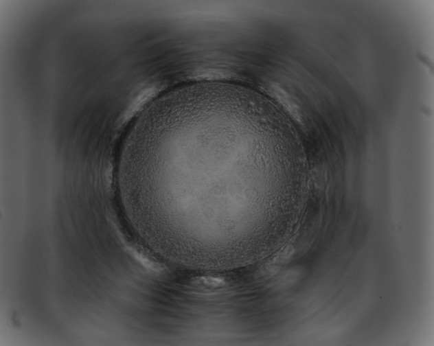 X0000093770159200710161249