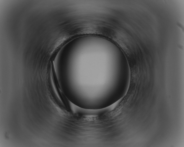 X0000093770160200710161249