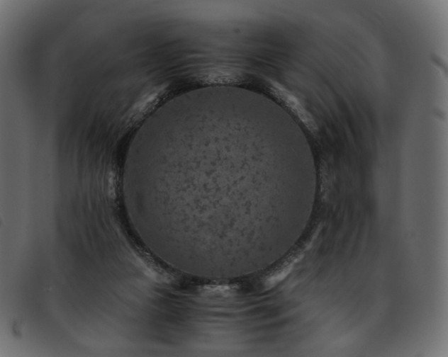 X0000093770161200710161249