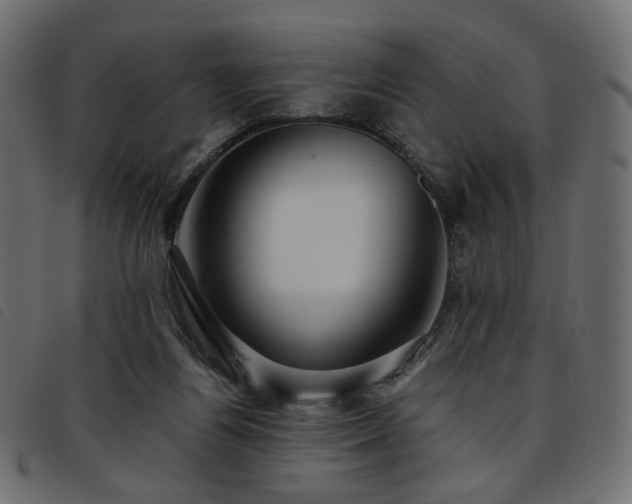 X0000093770164200710161249