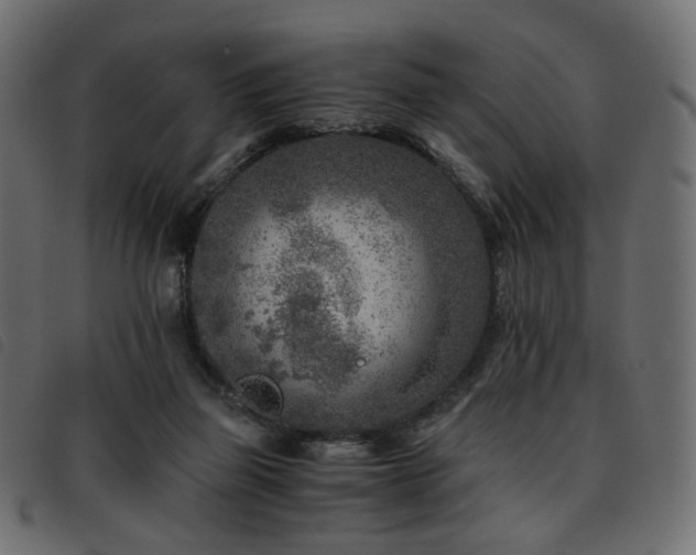 X0000093770165200710161249