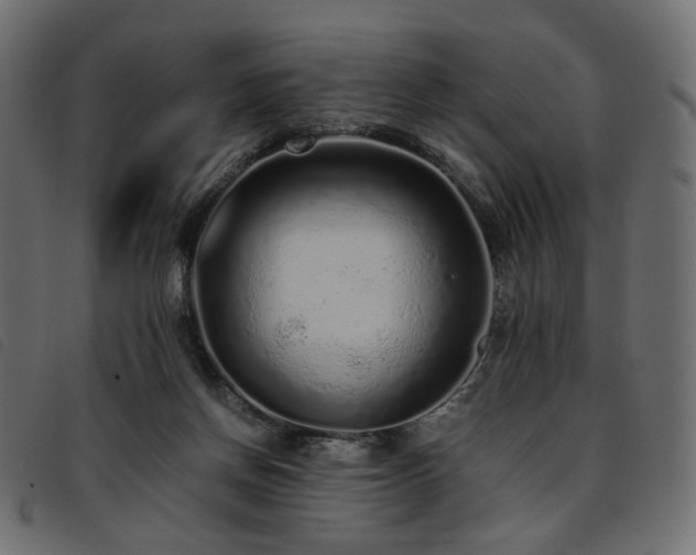 X0000093770166200710161249