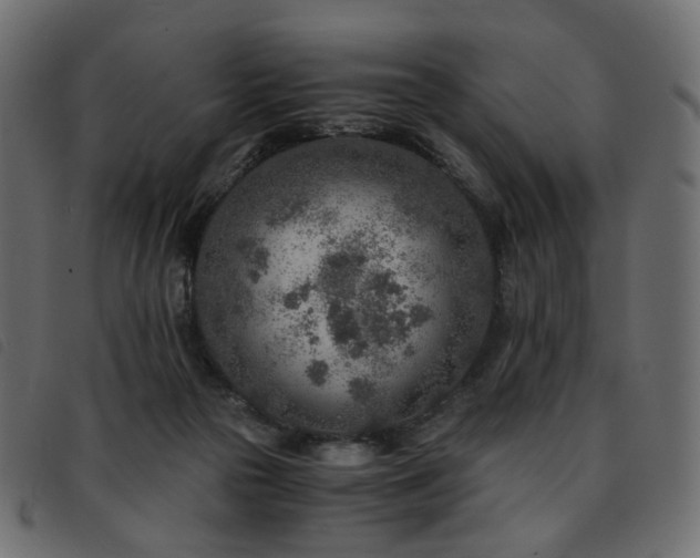 X0000093770169200710161249